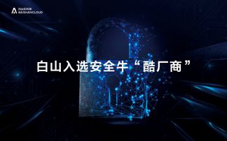 網(wǎng)絡(luò)安全行業(yè)全景圖發(fā)布,新晉 酷廠商 白山是誰