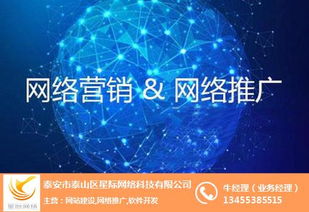 泰安百家號市場怎么樣 泰安百家號 星際網(wǎng)絡(luò) 查看